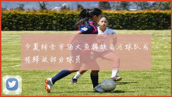 今夏转会市场大鱼稀缺南方球队或将释放部分球员