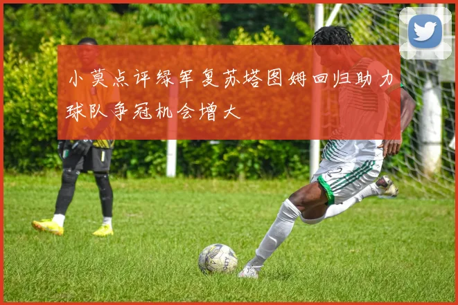 小莫点评绿军复苏塔图姆回归助力球队争冠机会增大